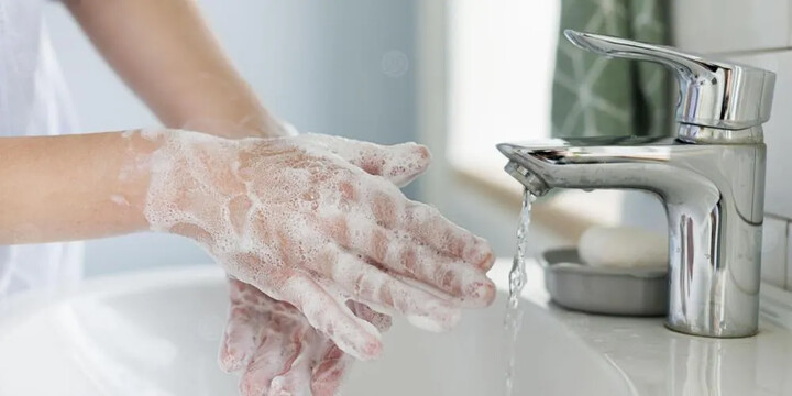 12.webp