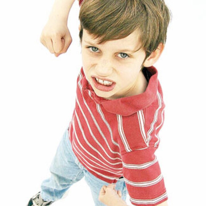 کودکم هم بچههای کوچکتر از خودش را کتک میزند، هم بزرگترها را. 12.jpg