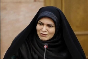 لایحه منع خشونت علیه زنان را به نتیجه می‌رسانیم