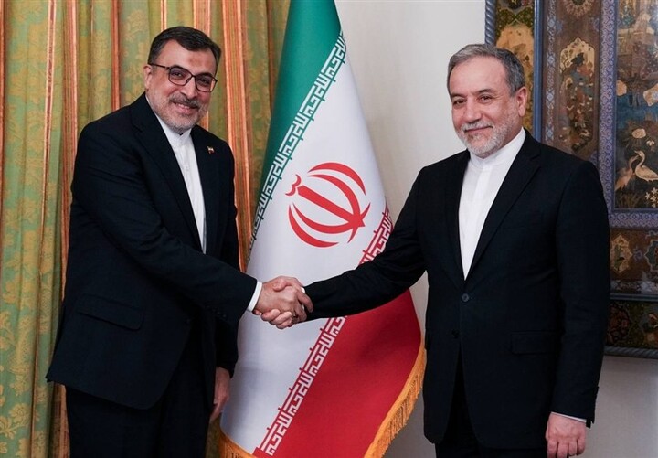 دیدار سفرای ایران در تانزانیا و سازمان همکاری اسلامی با عراقچی