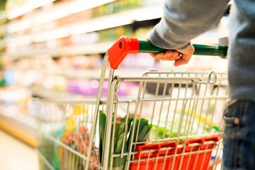 نیکزاد:اختصاص ارز برای کالاهای اساسی