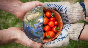 تاب‌آوری نظام غذایی ایران در سه دهه گذشته/ میانگین خودکفایی غذایی کشور حدود ۷۰ درصد