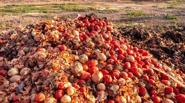 آمارهای تکاندهنده از نابودی محصولات کشاورزی