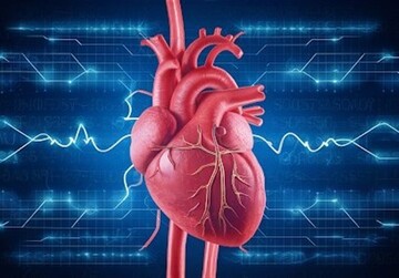 46 درصد از مرگهای کشور ناشی از بیماریهای قلبی است