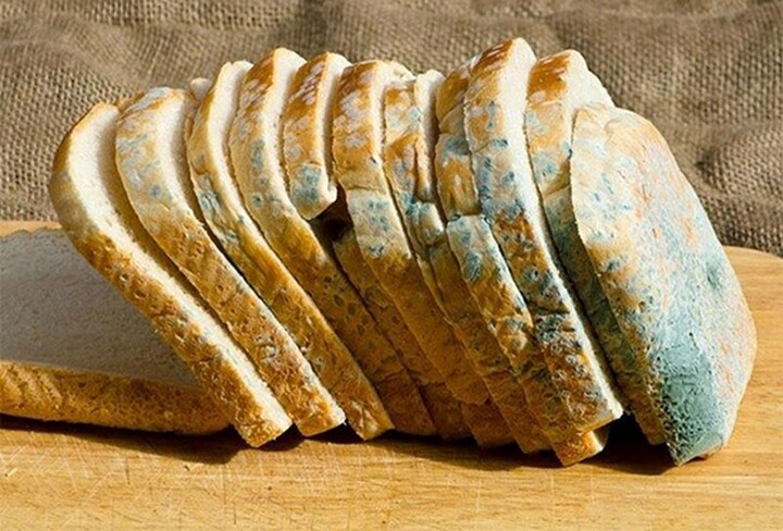 کپکها چه نقشی در افزایش وزن دارند ث