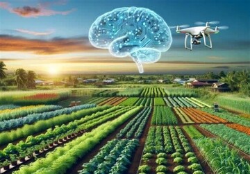 توسعه‌ کشاورزی هوشمند بدون چالش نیست!
