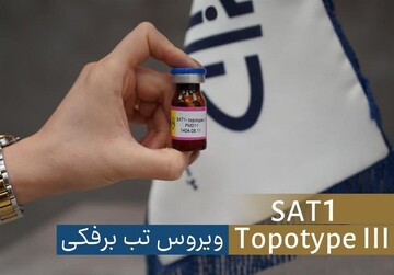 شناسایی سویه جدید ویروس تب‌برفکی SAT1 در تهران