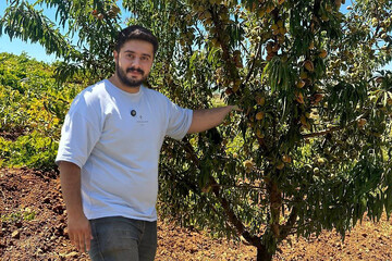 خرید نهال بادام: راهی ساده برای دست‌یابی به سود پایدار و بلندمدت