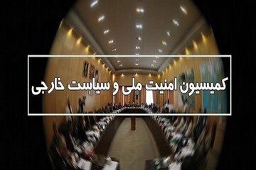 جزئیات جلسه کمیسیون امنیت ملی؛ نیروهای مسلح ایران آماده‌ و هوشیارند