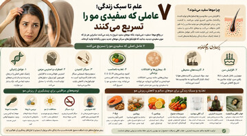 علم تا سبک زندگی؛ ۷ عاملی که سفیدی مو را تسریع می‌کنند +اینفوگرافی