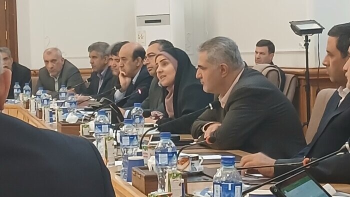 فرزانه صادق